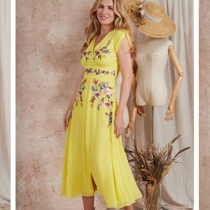 NWT hope & Ivy embroidery dress